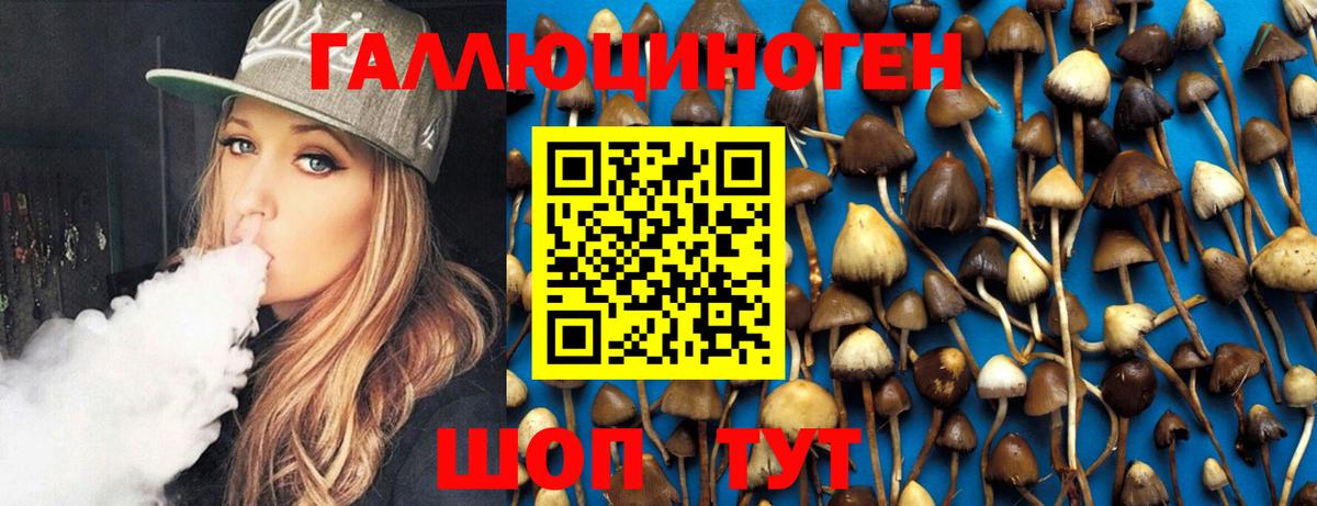 Псилоцибиновые грибы MAGIC MUSHROOMS  Вход с VPN  Зеленогорск 